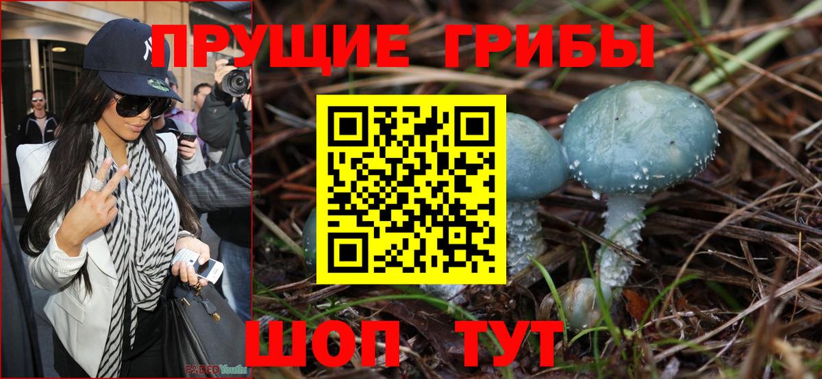 Галлюциногенные грибы GOLDEN TEACHER Южно-Сахалинск